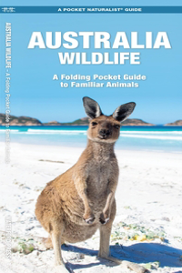 Australian Wildlife