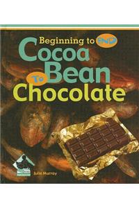 Cocoa Bean to Chocolate