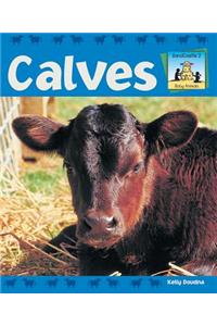 Calves