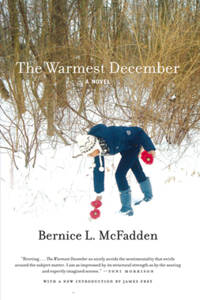 Warmest December