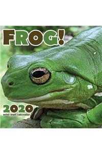 Frog! 2020 Mini Wall Calendar