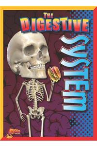 Digestive System