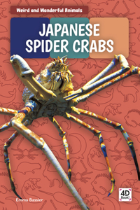 Japanese Spider Crabs