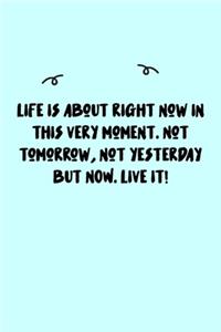 Life is about right now in this very moment. Not tomorrow, not yesterday but NOW. Live it! Journal