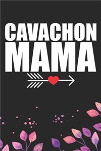 Cavachon Mama