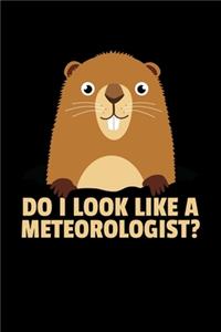 Do I Look Like.a Meteorologist
