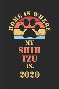 Shih Tzu 2020