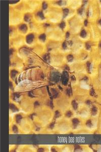 Honey Bee Notes