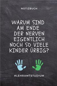 Notizbuch Warum Sind Am Ende Der Nerven Eigentlich Noch So