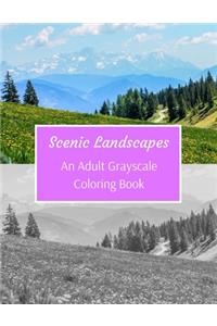 Scenic Landscapes