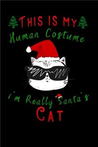 this is my human costume im really santa's cat