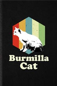 Burmilla Cat