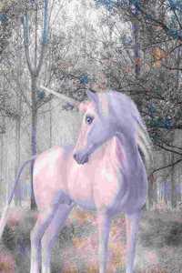 Unicorn Journal, Wide Ruled