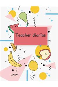Teacher diaries