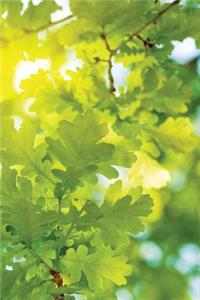 Leaf-Light Notebook