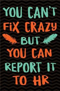 You Can't Fix Crazy But You Can Report it to HR