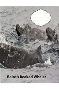 Baird's Beaked Whale College Ruled Line Paper Composition Book
