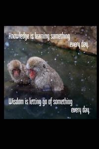 Knowledge Is Learning Something Every Day. Wisdom Is Letting Go of Something Every Day