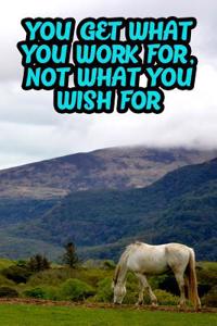 You Get What You Work For, Not What You Wish for