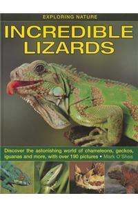 Exploring Nature: Incredible Lizards