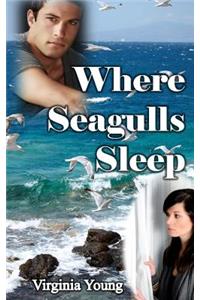 Where Seagulls Sleep