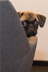 Who me? Adorable Little Pug Dog Journal
