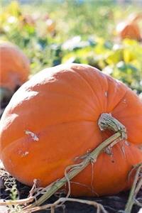 In the Pumpkin Patch Harvest Journal