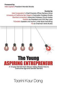 Young Aspiring Entrepreneur