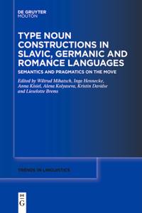 Type Noun Constructions in Slavic, Germanic and Romance Languages