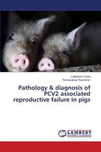 Pathology & diagnosis of PCV2 associated reproductive failure in pigs