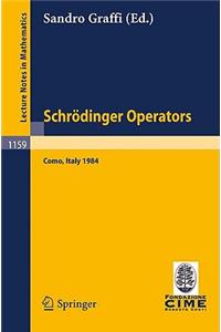 Schrödinger Operators, Como 1984