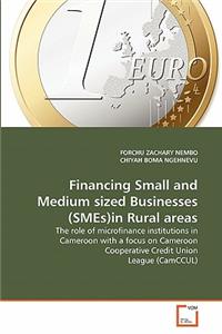 Financing Small and Medium sized Businesses (SMEs)in Rural areas