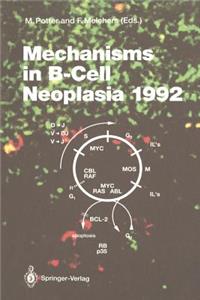 Mechanisms in B-Cell Neoplasia 1992