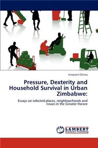 Pressure, Dexterity and Household Survival in Urban Zimbabwe