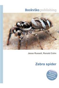 Zebra Spider