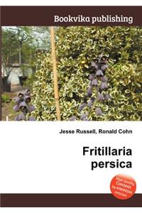 Fritillaria Persica