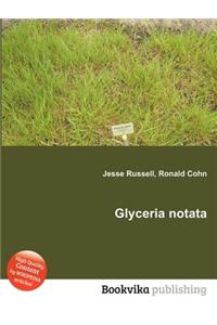 Glyceria Notata
