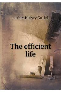 The Efficient Life