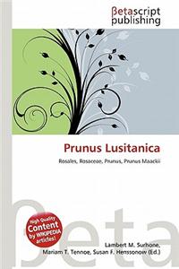 Prunus Lusitanica