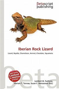 Iberian Rock Lizard