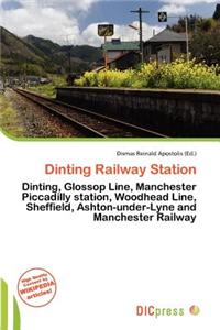 Dinting Railway Station
