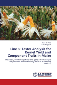 Line × Tester Analysis for Kernel Yield and Component Traits in Maize