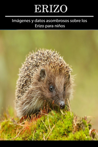 Erizo