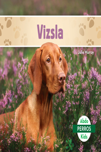 Vizsla (Vizslas)