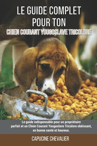 Le guide complet pour ton Chien Courant Yougoslave Tricolore