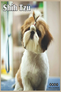 Shih Tzu 2021 Wall Calendar