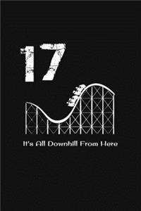 17th Birthday It's All Downhill From Here