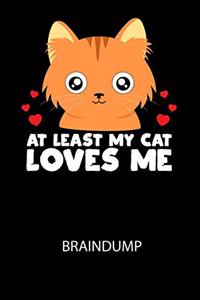 AT LEAST MY CAT LOVES ME - Braindump