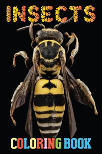 Insect Coloring Book