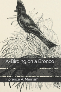 A-Birding on a Bronco